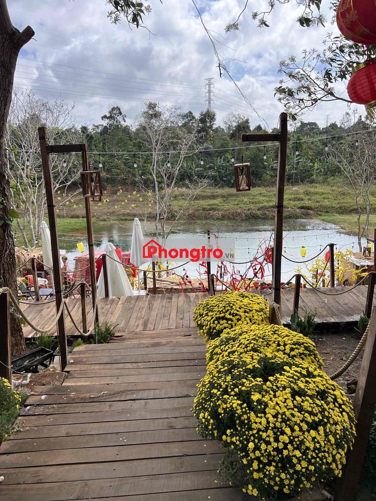 cho thuê nhà nguyên căn mặt tiền 290 Dã Tượng