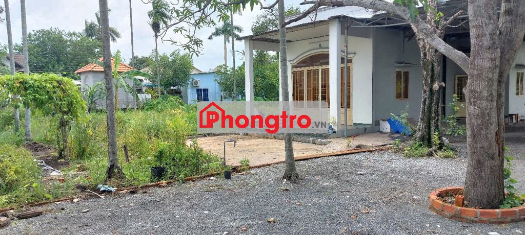 Cho thuê nhà 72m2; 3 P. DT đất 2000m2, điện nước OK, vị trí đẹp