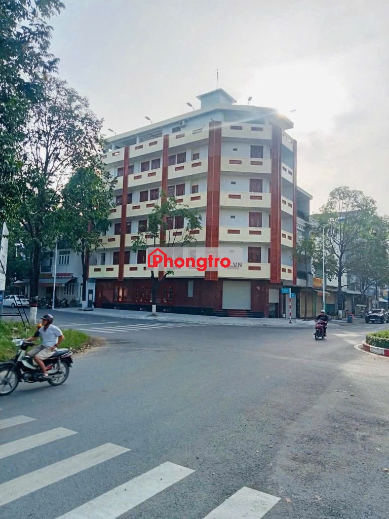 cho thuê nguyên tòa nhà 1 hầm 6 tầng