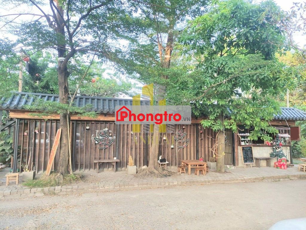 CHO THUÊ MẶT BẰNG KHU THẢO ĐIỀN - SÂN VƯỜN GIÁ 50 TRIỆU