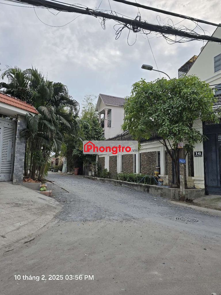 Cho thuê phòng có wc riêng, an ninh, sân vườn thoáng mát, không ngập