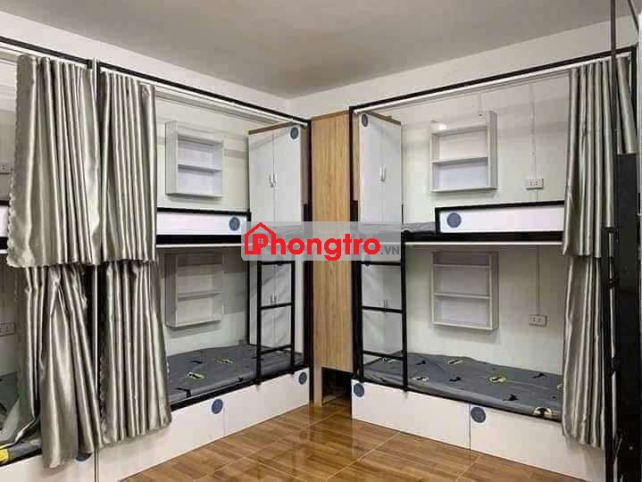 Không cần cọc vào ở luôn.