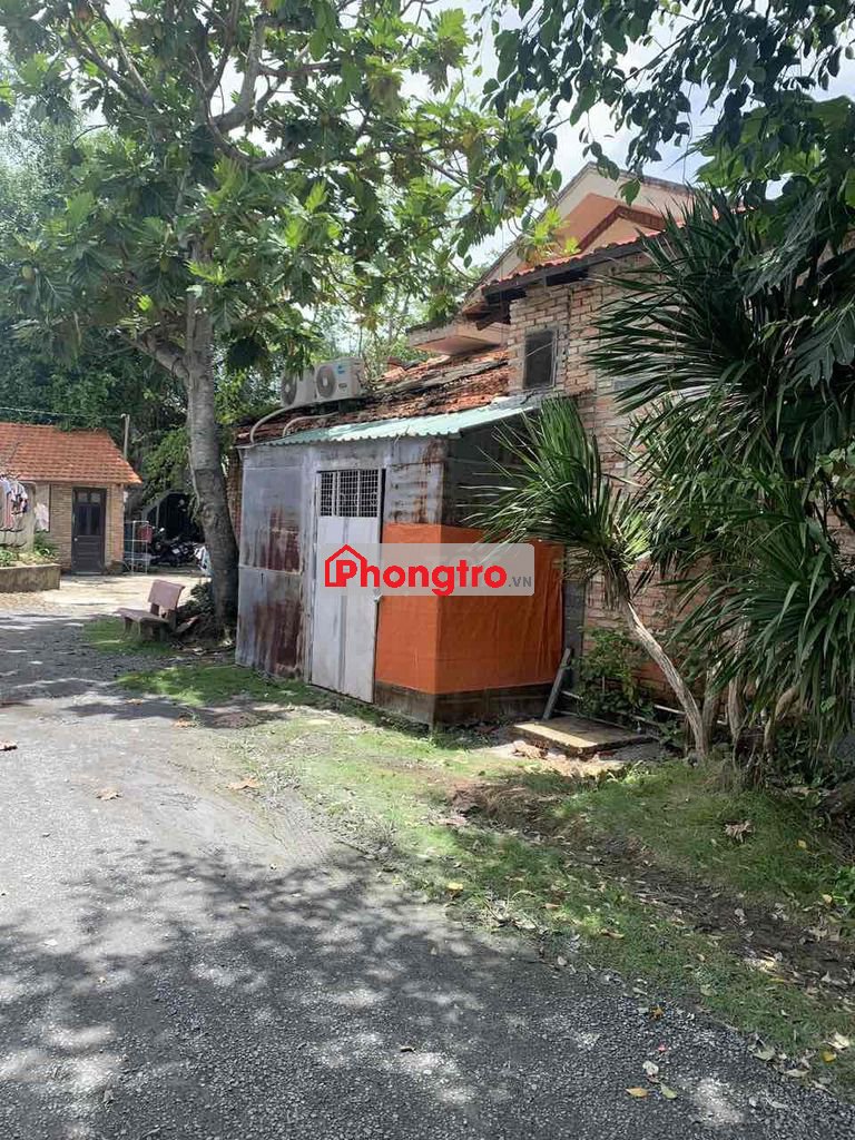 phòng trọ giá rẽ ( sân vườn)