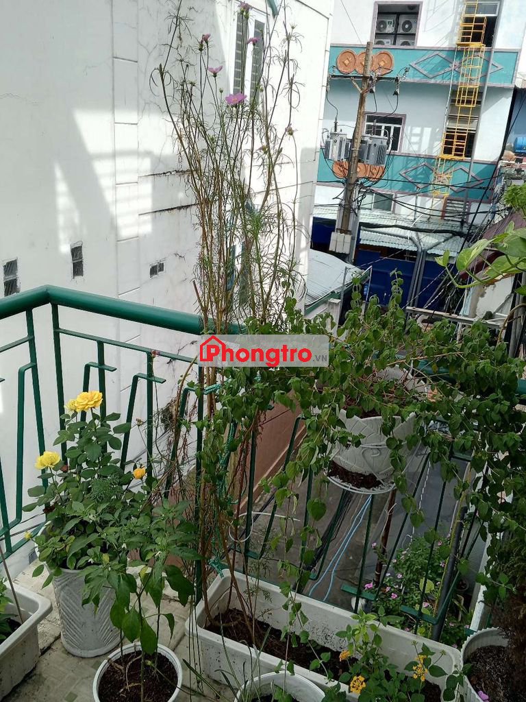 Gần sân bay,bancon trồng cây rộng, thoáng, hẻm yên tĩnh.