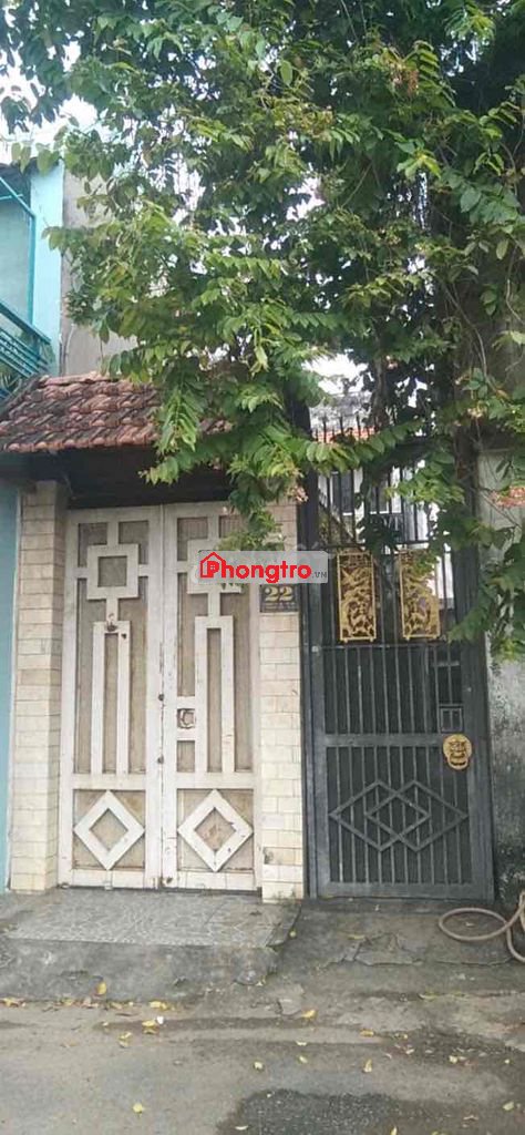 cho thuê nhà nguyên căn 8x10