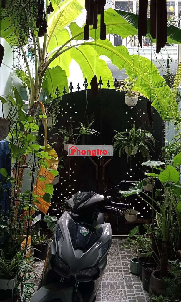 PHÒNG DÀNH CHO NGƯỜI ĂN CHAY - NGÃ TƯ BẢY HIỀN