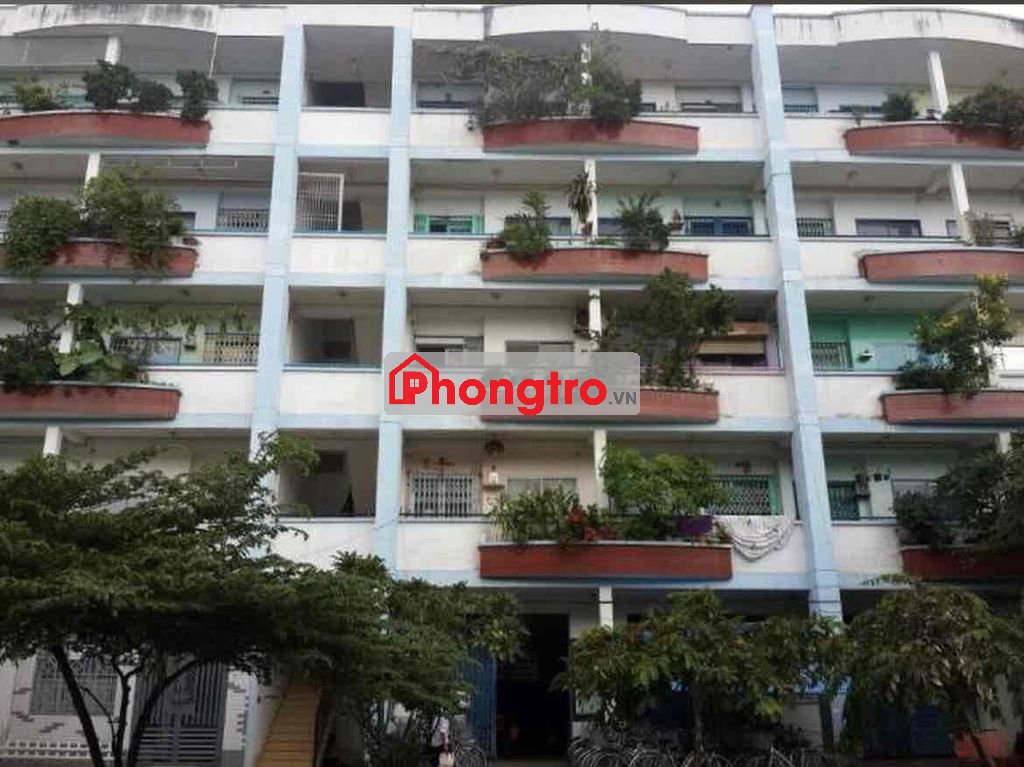 TÌM BẠN Ở GHÉP