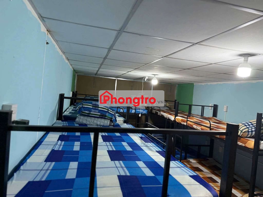 Cho thuê giường tầng. Không cọc