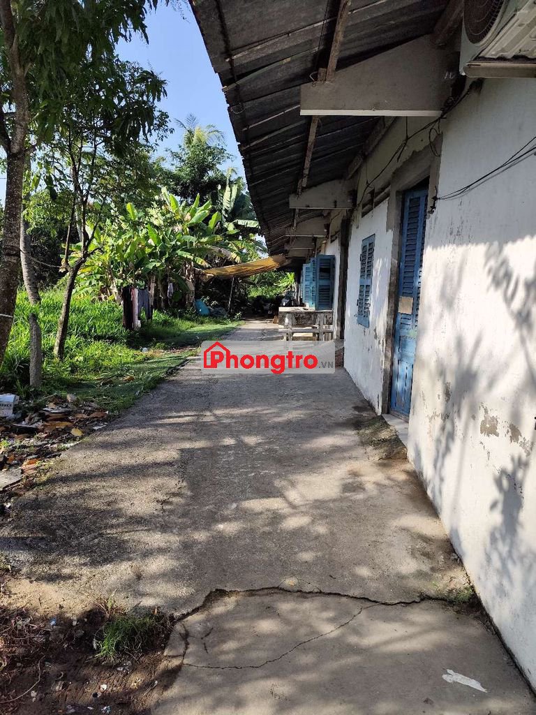 Nhà cho thuê giá rẻ