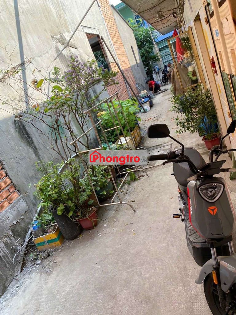 Nhà trọ có lối đi riêng p6 q8