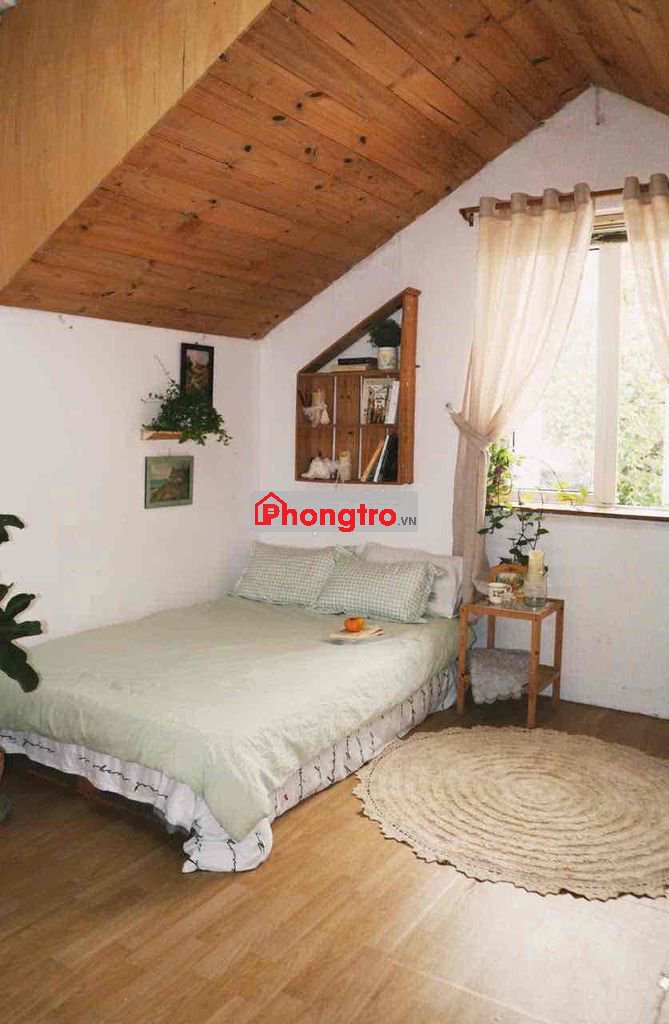 🔥PHÒNG TRỌ MÀ TƯỞNG HOMESTAY ĐƯỜNG QUANG TRUNG 🔥