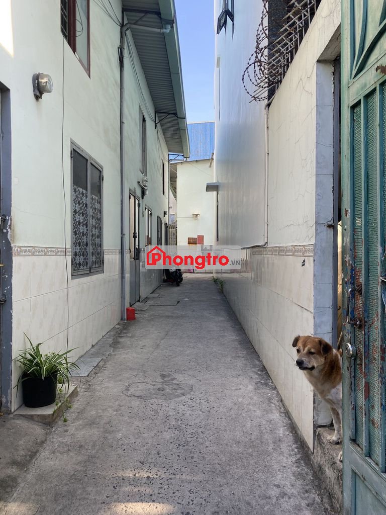 : Cho thuê phòng trọ thoáng mát, 1 trệt + lửng BTCT, an ninh