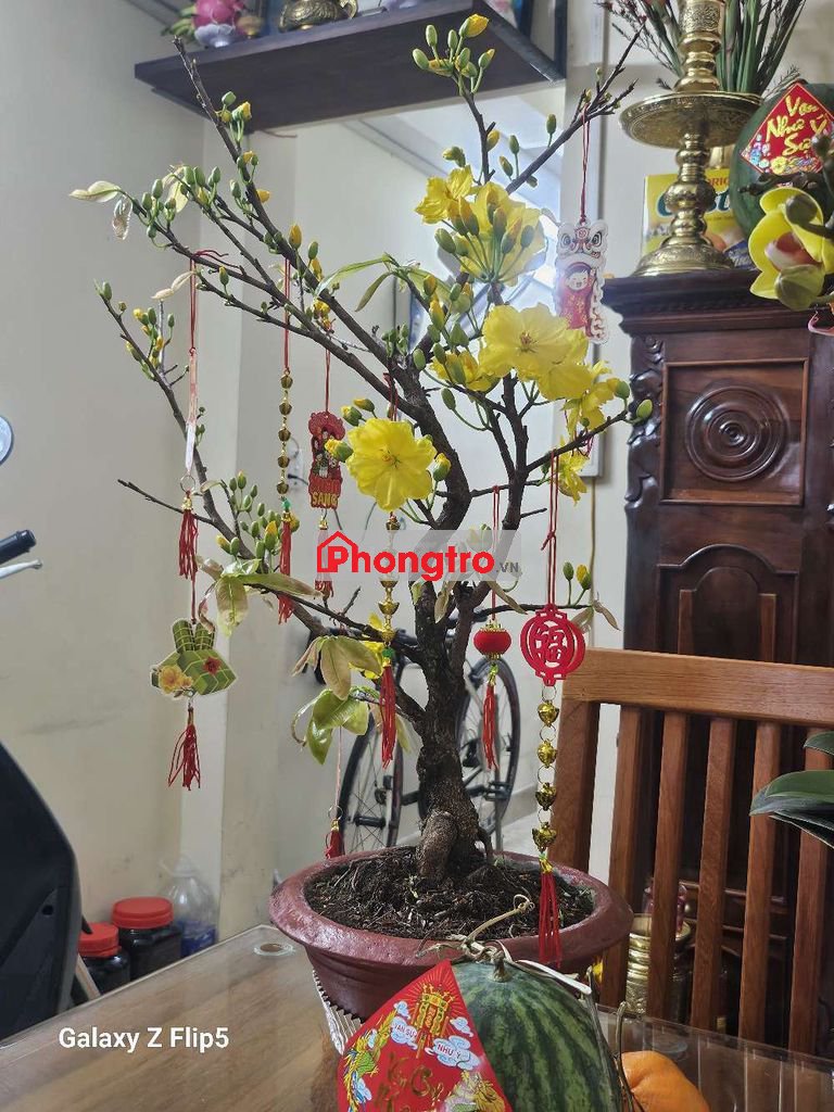 Phòng trọ 15m2 đường lương hữu khánh ,p bến thành,q1,tphcm