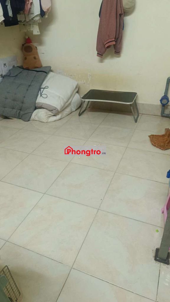 Phòng rẻ quận tân bình cho thuê