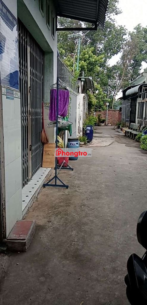 Phòng trọ yên tĩnh, an ninh, hai bên vườn cây sạch sẽ, mát mẻ.