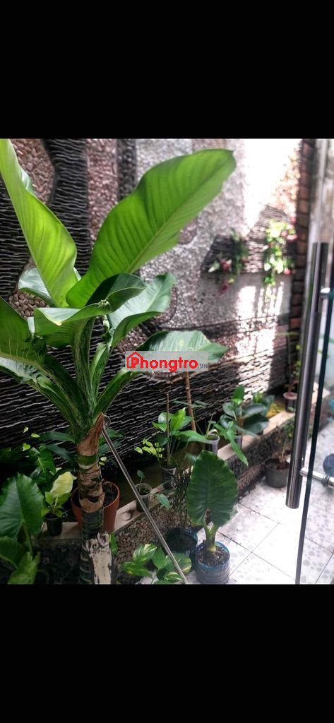 phòng 40m2 đường 25 phạm văn đồng