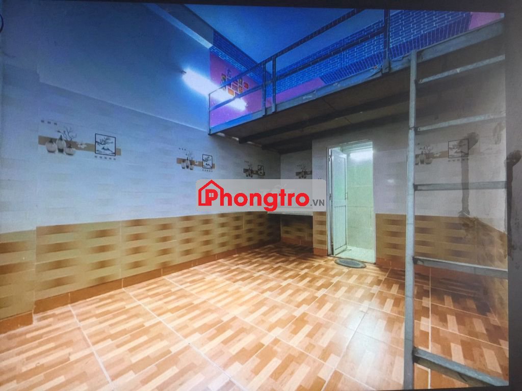 Cần nam ở ghép tại 199 Phạm Huy Thông, An Nhơn, giá 1 triệu