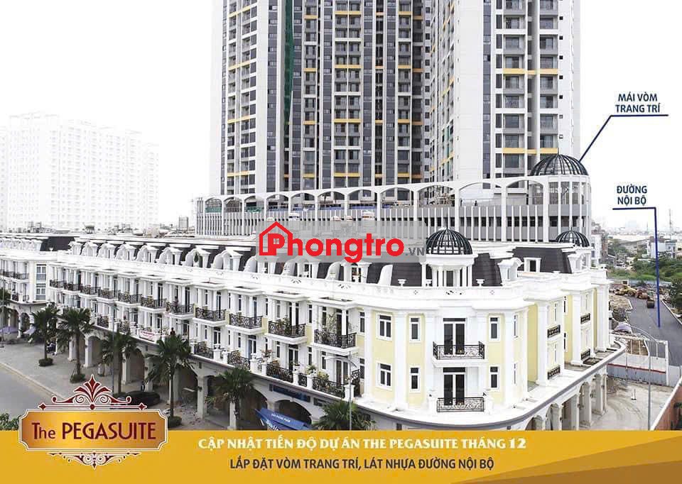 Cho thuê căn hộ dịch vụ chung cư Pegasuite 1 giá 6,5 triệu full NT