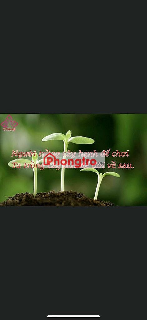 CHO THUÊ PHÒNG TRỌ GIÁ RẺ NGAY TRUNG TÂM PHƯỜNG 9